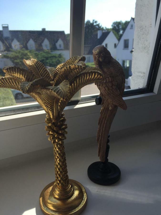 Zee Vakantievilla Begijnhof 5 De Haan Nieuwmunster Luaran gambar